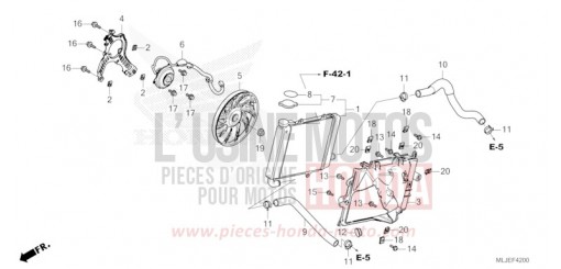 RADIATEUR (D.) GL1800BDR de 2024